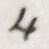 File:4-Letter-sacd-1890-03-14-hemingsley-p1.jpg