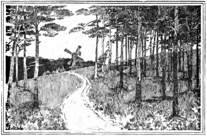 File:King-foxes-windsor-jul-1898-10.jpg