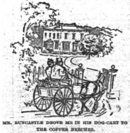 Mr. Runcastle drove me in his dog-cart to the Copper Beeches.