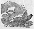 Thumbnail for File:The-bristol-observer-1890-11-29-p1-03.jpg
